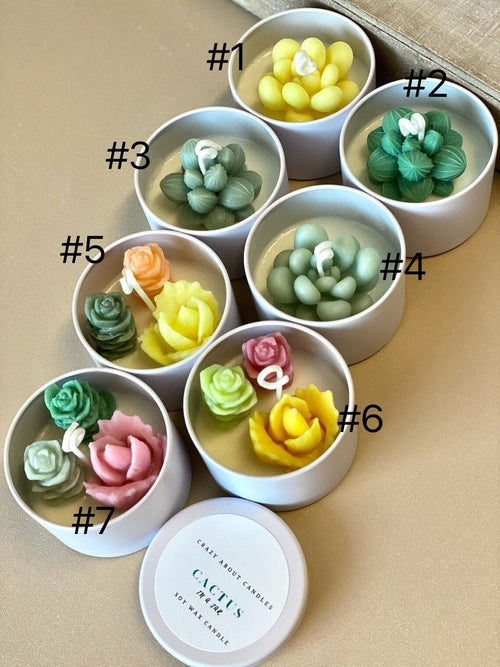 Cactus in Pot Candle. Handmade Scented Candles