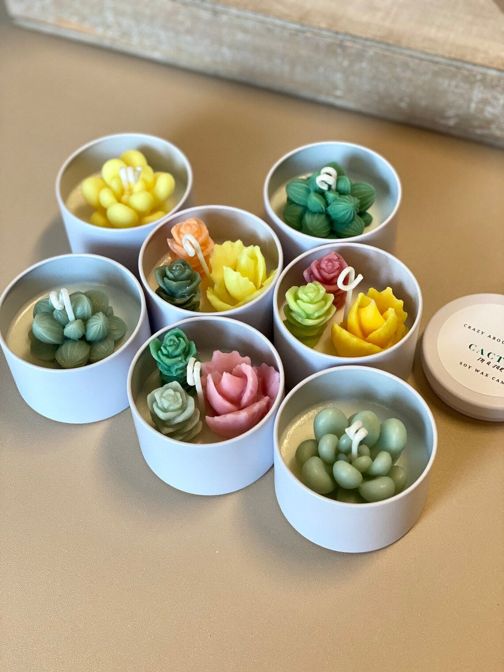 Cactus in Pot Candle. Handmade Scented Candles